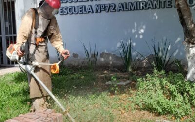 El municipio impulsa la limpieza y el saneamiento en las escuelas de Barranqueras