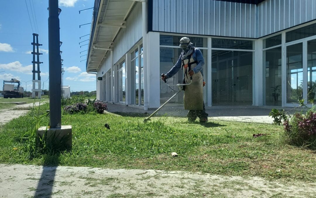 Paseos y Jardines: el municipio realiza trabajos de mantenimiento