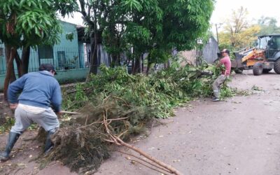 Operativos municipales de limpieza y Recolección de Ramas