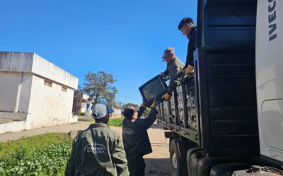 En Barranqueras continúan las acciones contra el dengue