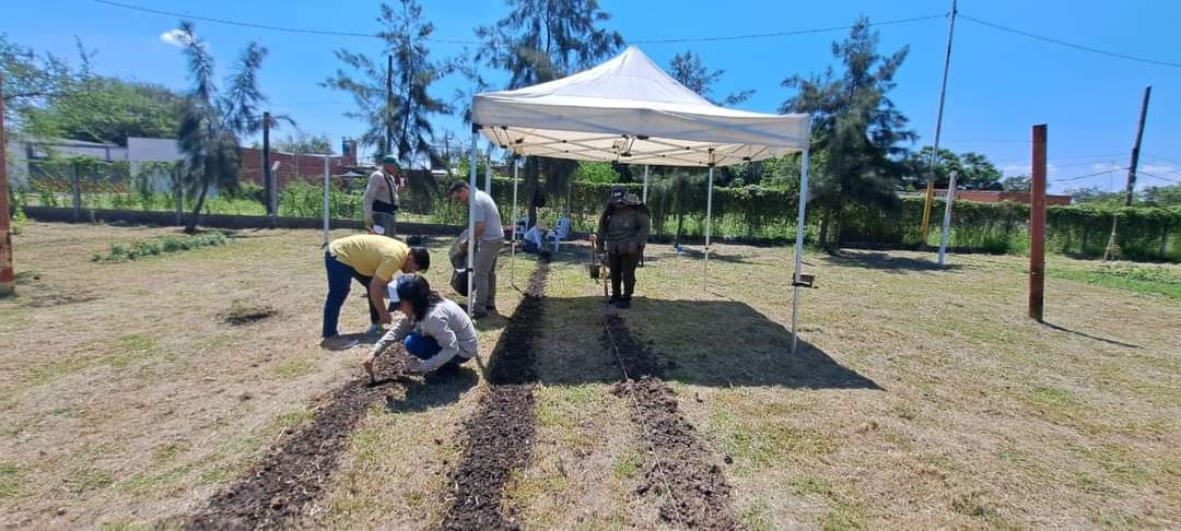 El programa «Cultivamos alimentos» se encuentra 100% activo