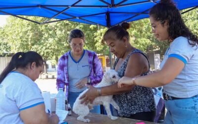 «La Muni te Cuida» visitó las 500 viviendas con servicios esenciales