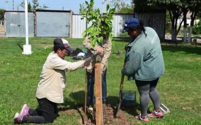Día Mundial del Ambiente: Barranqueras una ciudad más sustentable