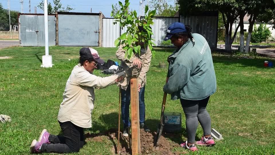Día Mundial del Ambiente: Barranqueras una ciudad más sustentable