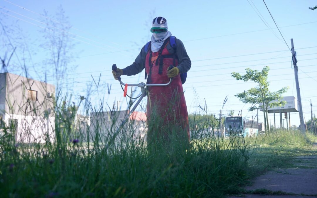La Municipalidad intensifica trabajos de limpieza y mantenimiento