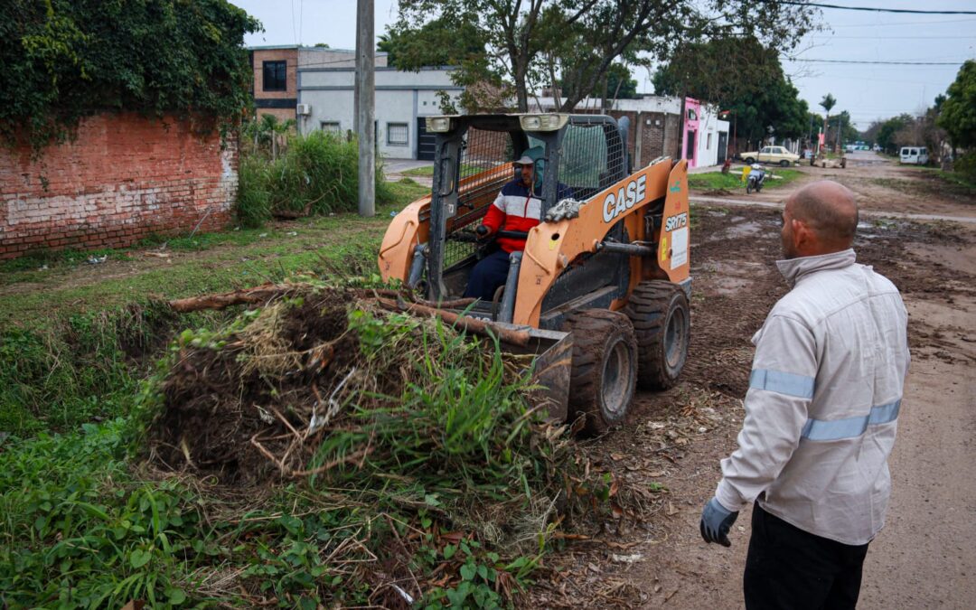 Mantenimiento Urbano: el municipio retira residuos verdes para prevenir obstrucciones y mejorar los espacios públicos