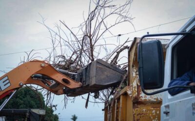 El Municipio de Barranqueras intensifica los operativos de limpieza y mantenimiento en diferentes barrios de la ciudad