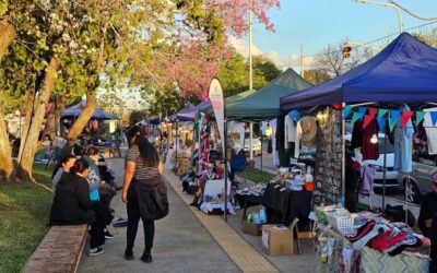 Exitosa jornada en la feria de emprendedores locales de Barranqueras
